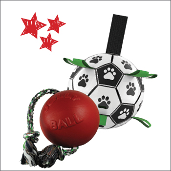 Outdoor Dog Toys