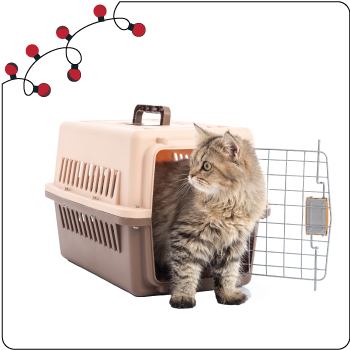 Small Cat Carrier