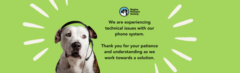 Phone Line: Technical Difficulties