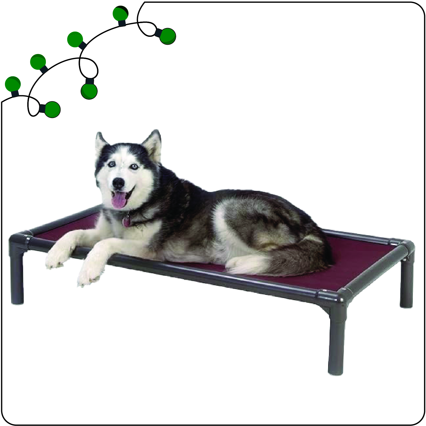 Kuranda Dog Bed