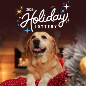Holiday Lottery Tickets