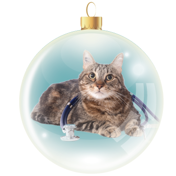 Emergency Veterinary Care