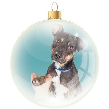 Area of most critical need